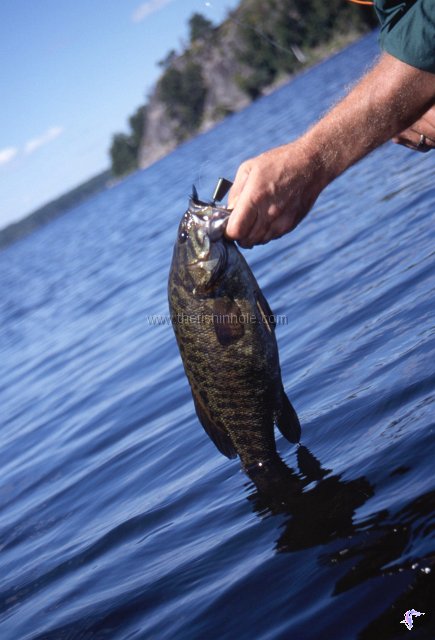 bass smallmouth fishing walleye sharp oft overlooked challenge articles teeth fishin