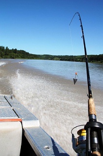 A North Saskatchewan River sturgeon rod rigged with a slip sinker