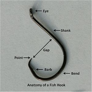 Every hook has the same general characteristics