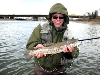 This fall in City of Calgary I caught a brown trout that ate a streamer on the Bow River