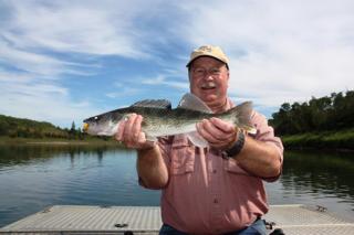 Walleye are an added bonus on a lower North Saskatchewan flyfishing expedition