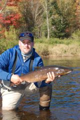 A typical male salmon from the Miramichi