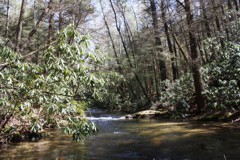 Noontoola Creek, a Blue Ridge Mountains classic