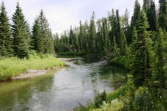 Prairie Creek - one of central Alberta’s iconic brown trout streams