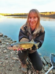 Fishing walleye in cloudy conditions on the North Saskatchewan River