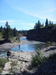 growing demand trout streams fly fishing alberta
