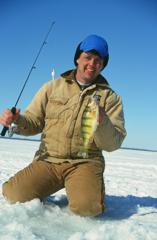 Yellow Perch caught on strong opaque ice