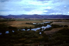 Silver Creek in Sun Valley Idaho
