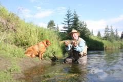 Fly Fishers’ Christmas brown trout in Alberta