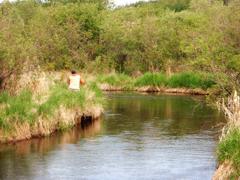 Brown Trout fishing