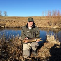 Brown Trout fishing
