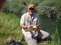 Small stream Brown Trout success