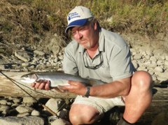 A fine Bow River rainbow trout comes to the net