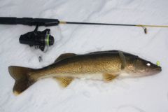 A kinked and coiled line can negatively affect ice angling success.