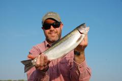 Lake rainbows can be fooled with jigs, crankbaits, spoons and spinners alike.