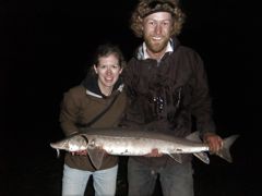 As daylight faded from the western horizon, the sturgeon bite turned on, becoming a night to remember.