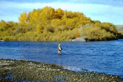Hopper time on the Bow River