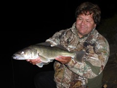 This chunky walleye made my evening. Fall walleye are in fantastic shape.