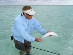 Even a small bonefish will strip off all of your fly line and many yards of backing in no time flat.