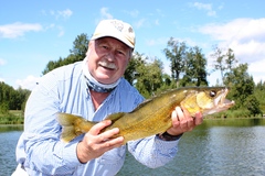 90 per cent of Alberta walleye occupy 10 per cent of the water