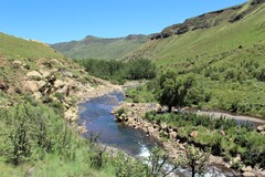 Trout Stream in South Africa’s Drakensberg Mountains.