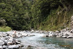 New Zealand trout stream.