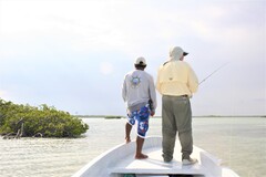 Searching the flats for a cruising bonefish.