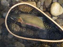There's still time to enjoy some fall fly fishing before the snow flies.