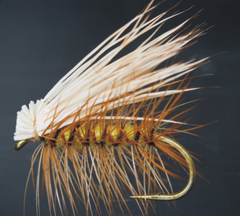 The Elk Hair Caddis is an effective dry fly pattern for matching the adult.
